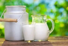 غذاهای سالم با کلسترول بالا