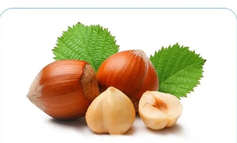 مربای فندق