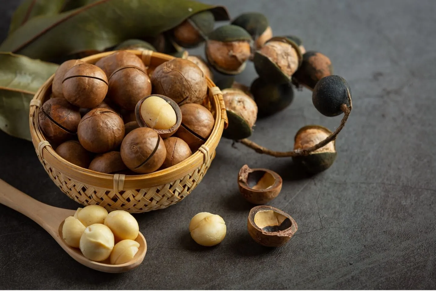 مربای فندق