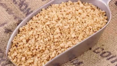 گوشت