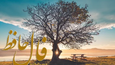 فال حافظ 13 اسفند 1403