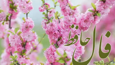 فال حافظ 14 فروردین 1404