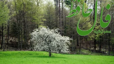 فال حافظ 14 اسفند 1403