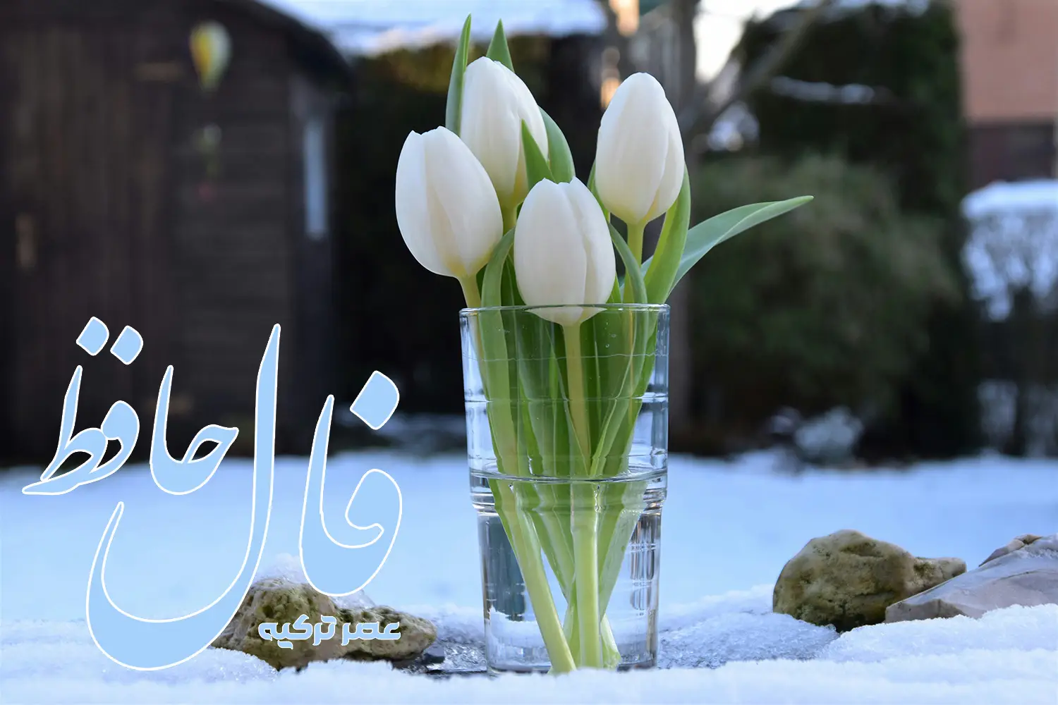 فال حافظ 26 اسفند 1403