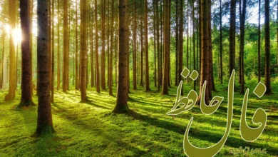 فال حافظ 9 فروردین 1404