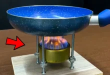 قوطی کنسرو
