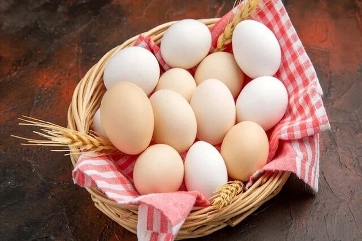 چگونه از سلامت تخم مرغ‌ مطمئن شویم؟1