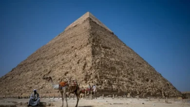 مصر