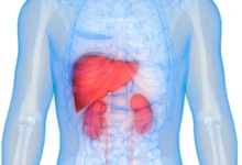 سلامت کلیه‌