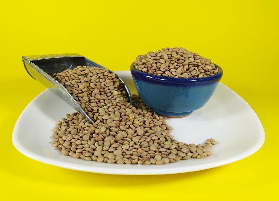 11 ماده غذایی برای تنظیم وزن2