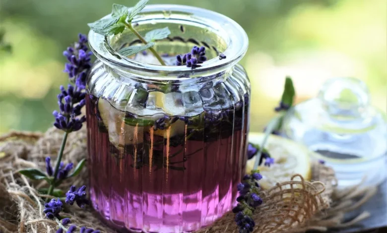 گیاه ضداسترس