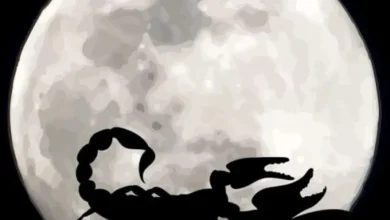قمر در عقرب