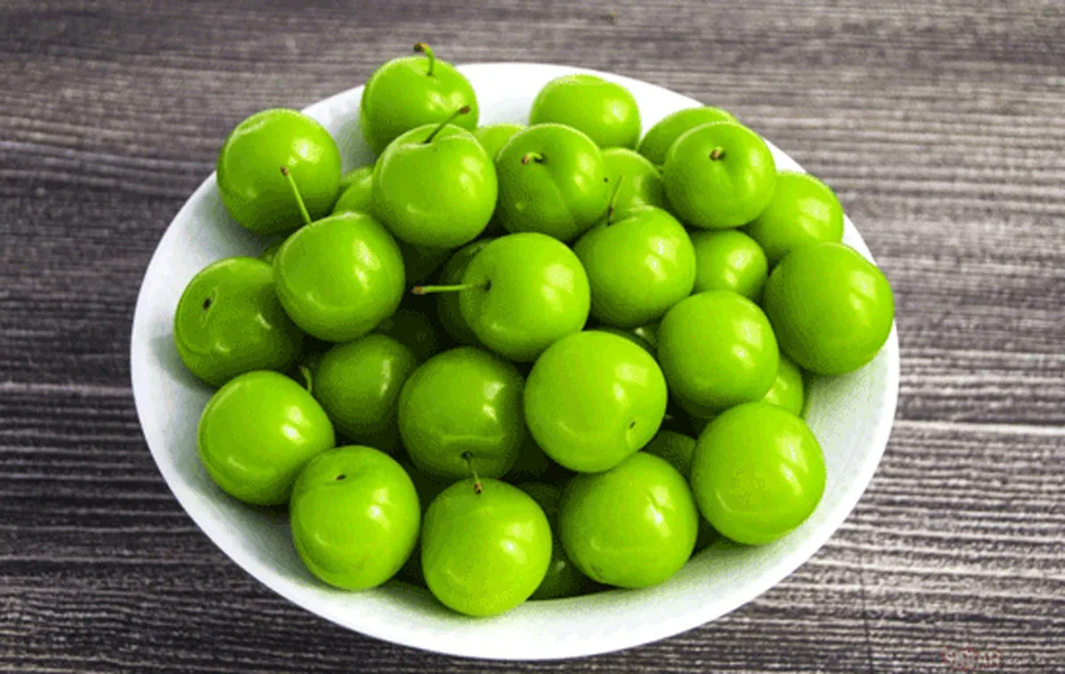 کاشت گوجه سبز در گلدان