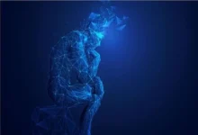 تازه‌کار‌ها