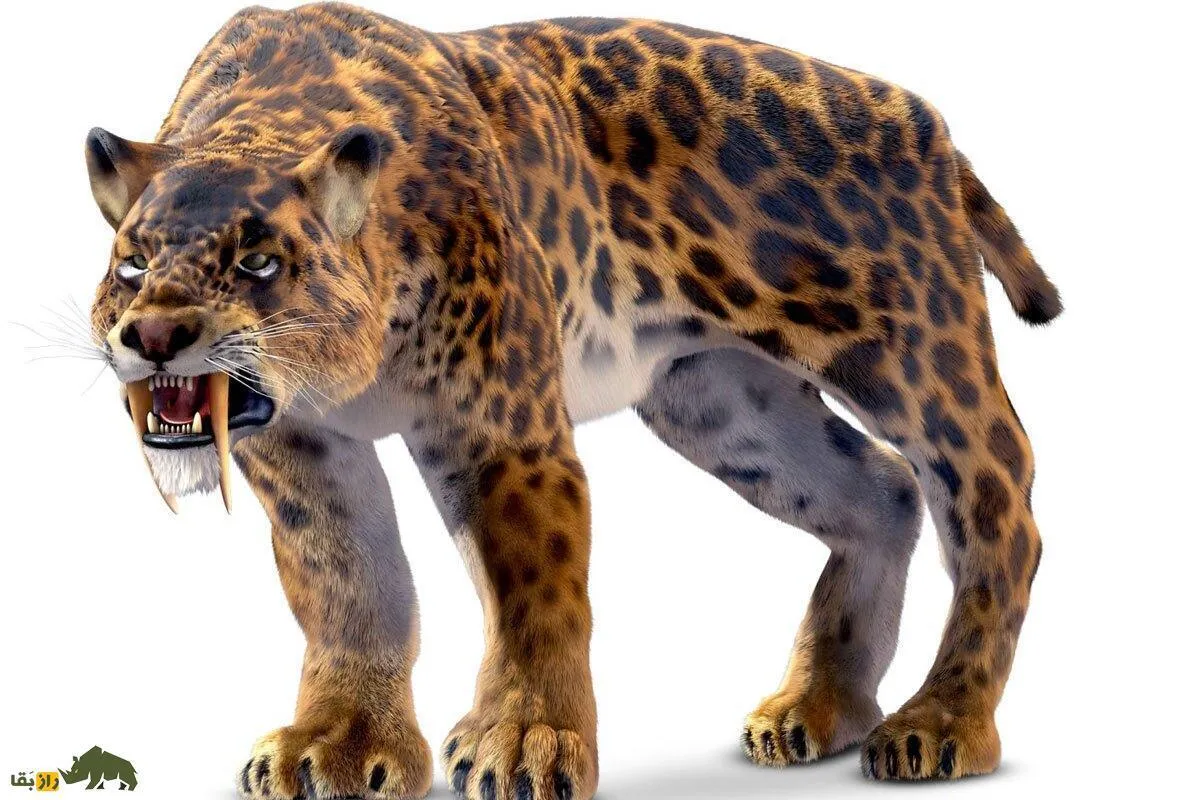 حیوانات منقرض شده