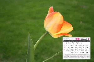 اردیبهشت 1404 2