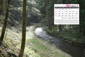 اردیبهشت 1404 7