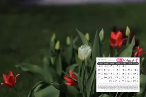 اردیبهشت 1404 8