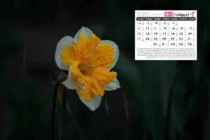 اردیبهشت 1404 9