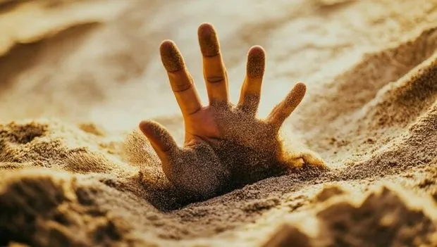 باتلاق شنی