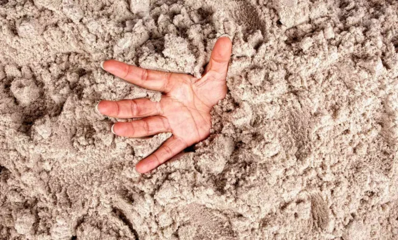 باتلاق شنی