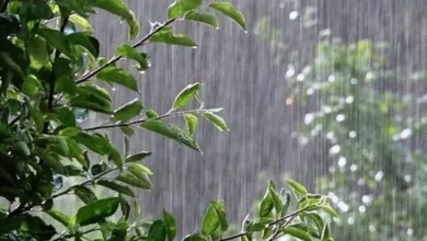 وضعیت دما و بارش کشور