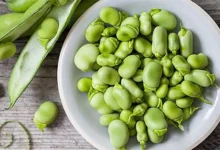 کالری باقلا سبز