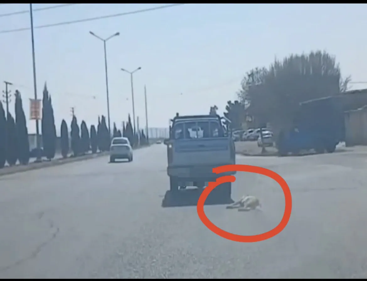 پرونده قضایی