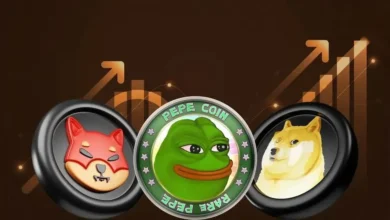 تفاوت میم‌کوین و کانتنت‌کوین چیست؟