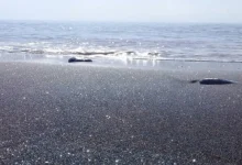 هرمز