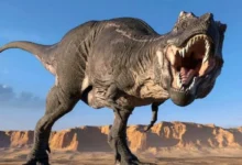 انقراض دایناسورها