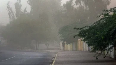 چیپس