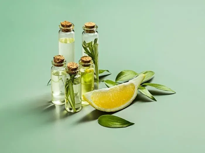 راهکار دفع سوسک
