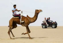 شتر