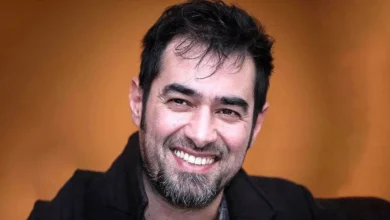 شهاب حسینی