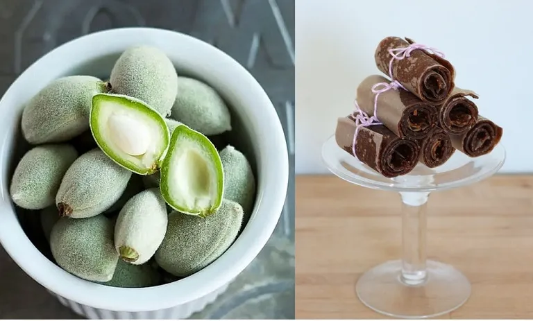 طرز تهیه لواشک چاقاله بادام روش‌ های خشک کردن