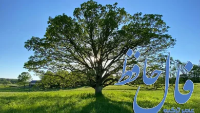 فال حافظ 20 فروردین 1404