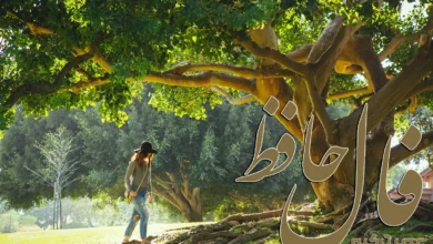 فال حافظ 21 فروردین 1404