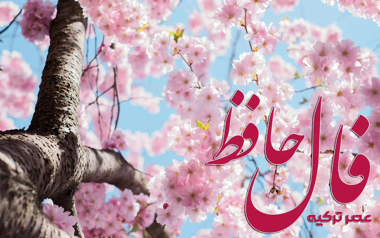 فال حافظ 22 فروردین 1404