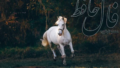 فال حافظ 23 فروردین 1404