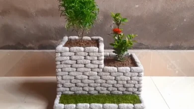 سیمان