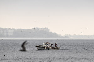 مه غلیظ