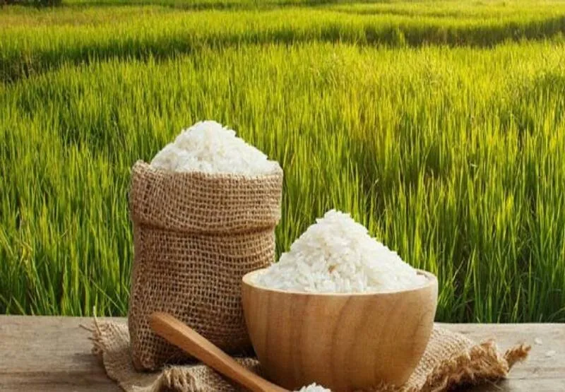 نگهداری برنج خام به روش شمالی ها