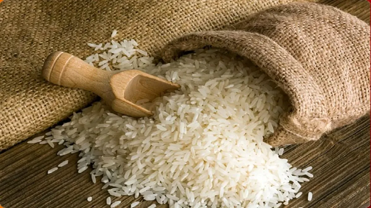 نگهداری برنج خام به روش شمالی ها