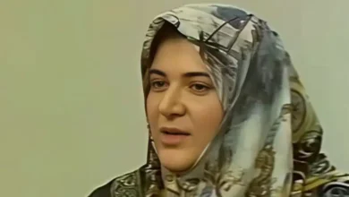 سریال پایتخت