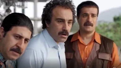 سریال پایتخت