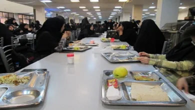 پیدا شدن مارمولک در غذای دانشجو عکس2