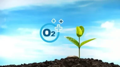 چرا زندگی بدون اکسیژن ممکن نیست؟2