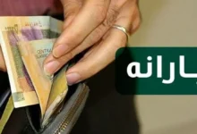 زمین رایگان