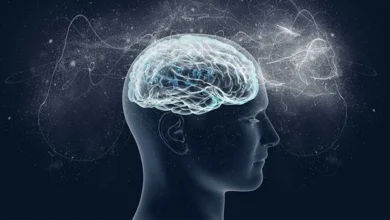 ۴ ورزش مغزی برای تقویت حافظه و تمرکز